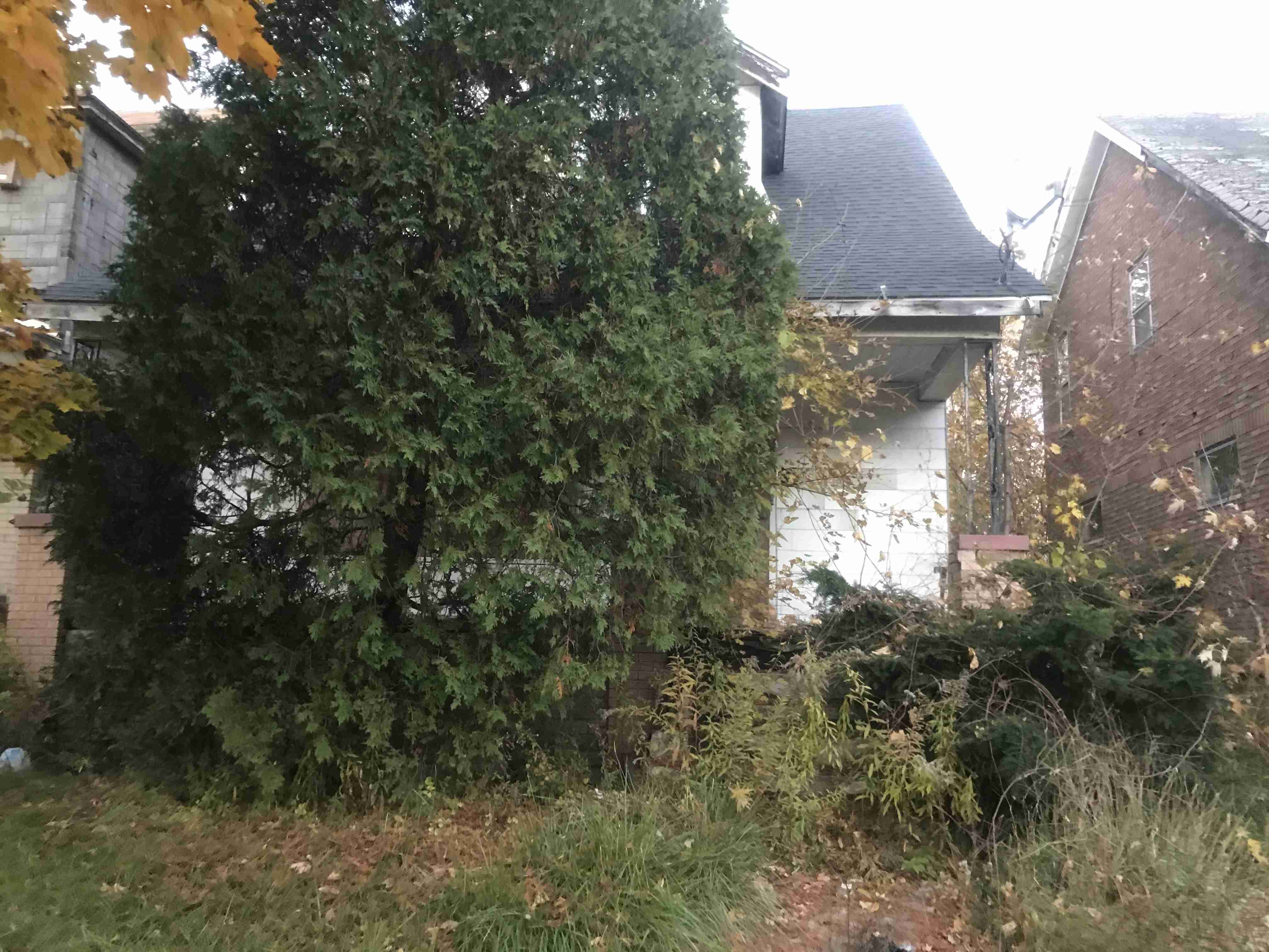 Photo Nov 04, 5 27 58 PM.jpg